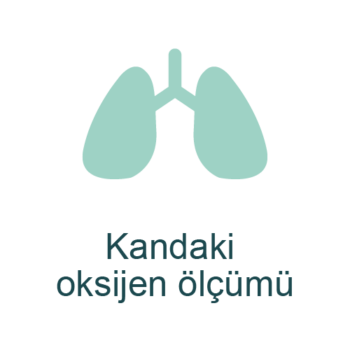 Owlet Smart Sock – Bebeğinizin Sağlığını Anlık Takip Eden Akıllı Çorap