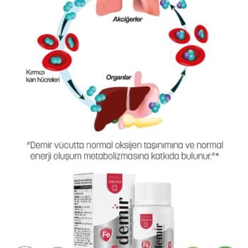 Erbatab Demir 30 Kapsül Yüksek Emilimli Demir Takviyesi
