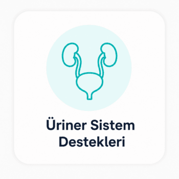 Üriner Sistem Destekleri