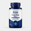 Ocean Capillus Men 60 Tablet