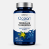 Ocean Tribulus Terrestris 60 Kapsül