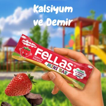 Fellas Mini Meyve Bar - Çilekli ve Kakaolu (28 g) x 12 Adet - Görsel 2