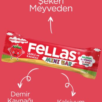 Fellas Mini Meyve Bar - Çilekli ve Kakaolu (28 g) x 12 Adet - Görsel 4