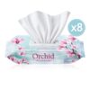 Giggles Islak Havlu Orkide 480 Adet